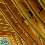 HALL_06.01.2007_92043